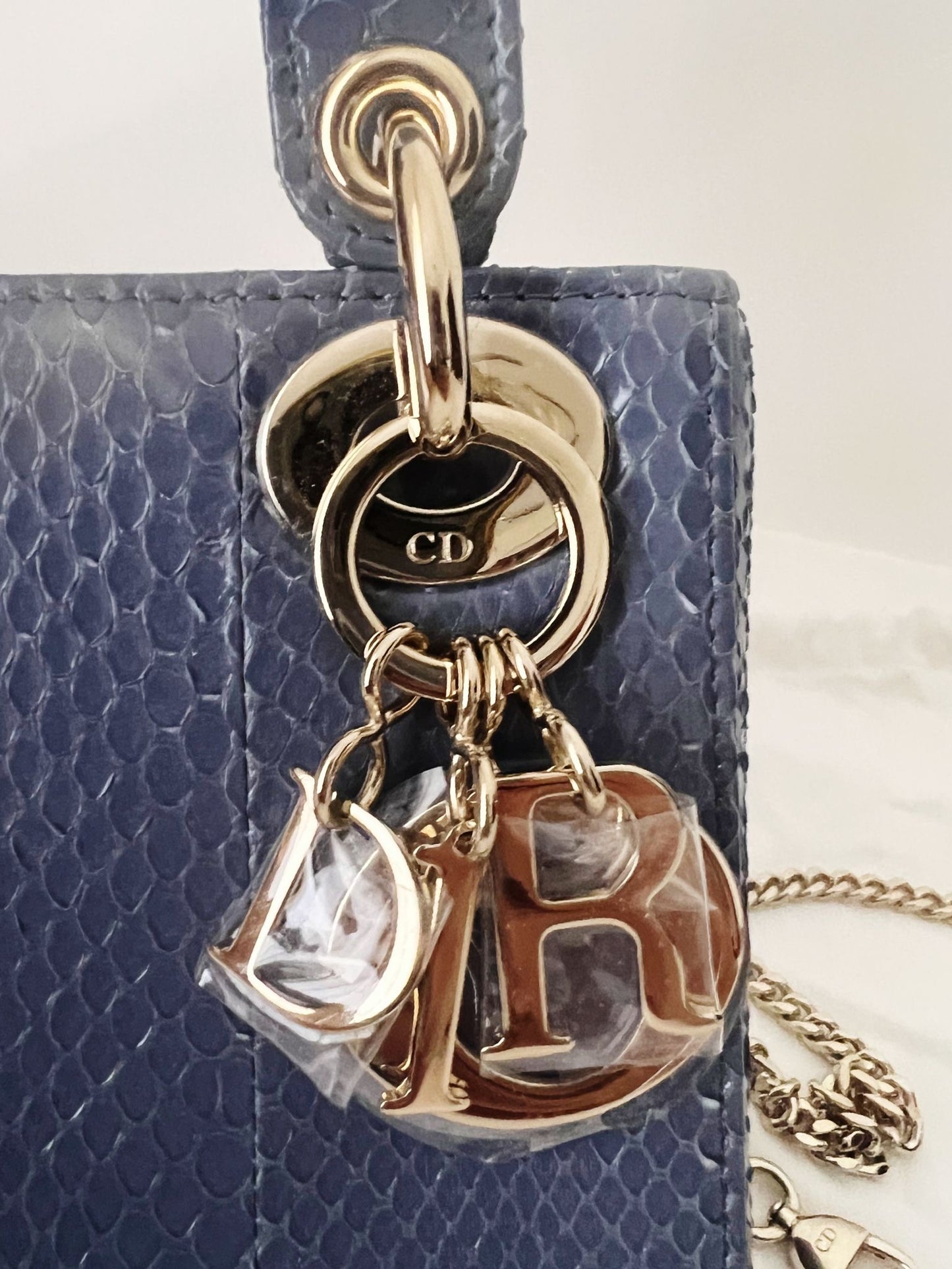 Lady Dior Mini Python blue