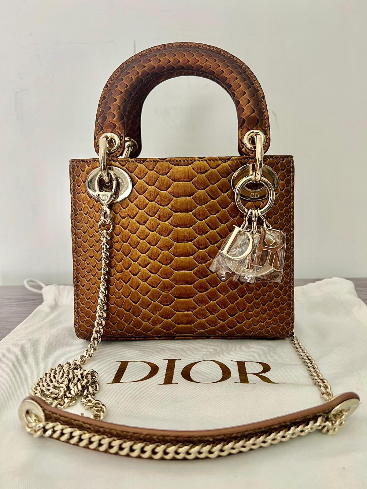 Angelica’s balance for lady Dior Python