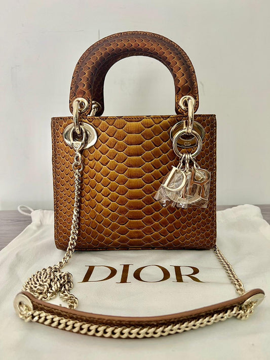 Angelica’s balance for lady Dior Python
