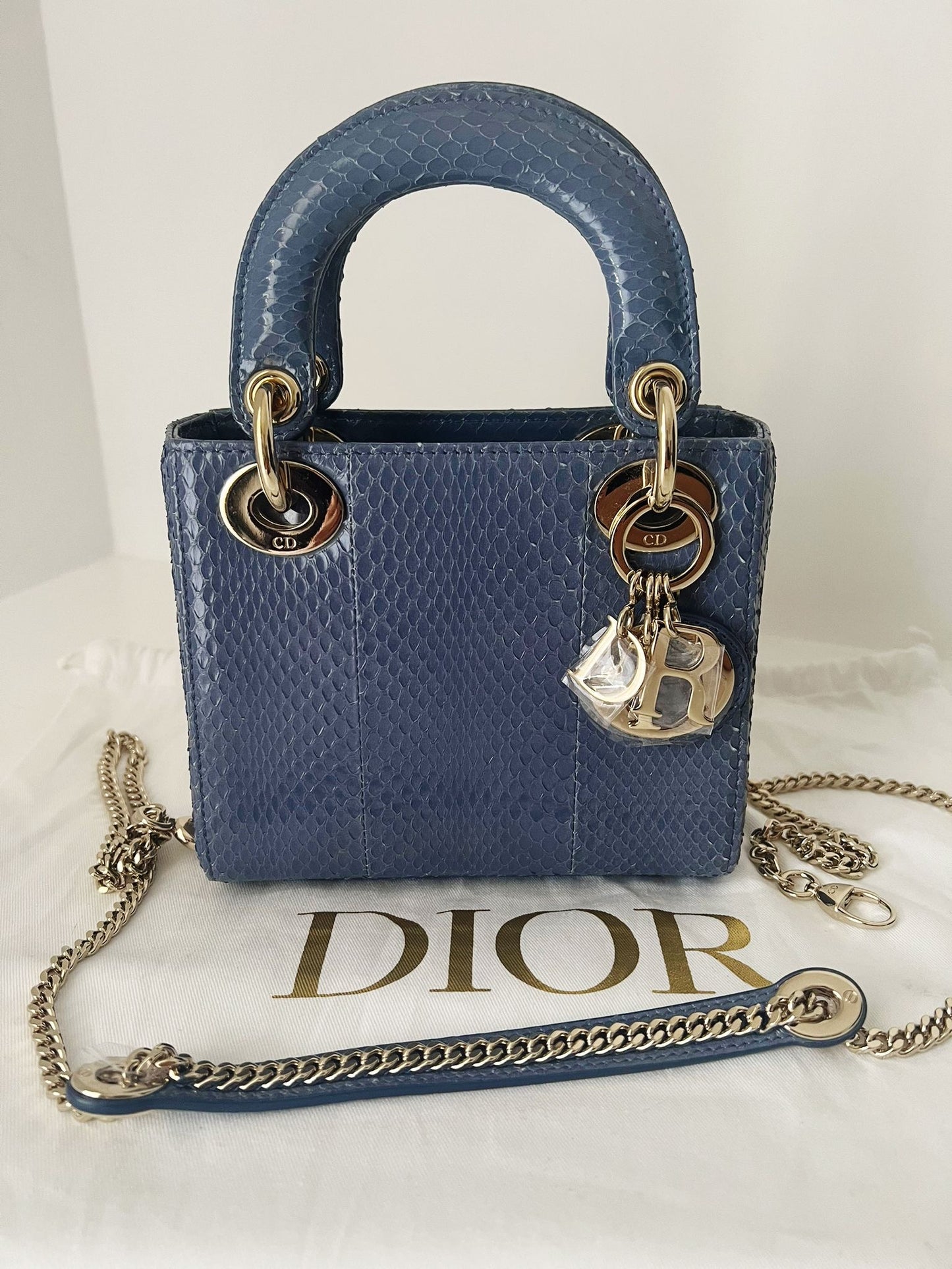 Lady Dior Mini Python blue