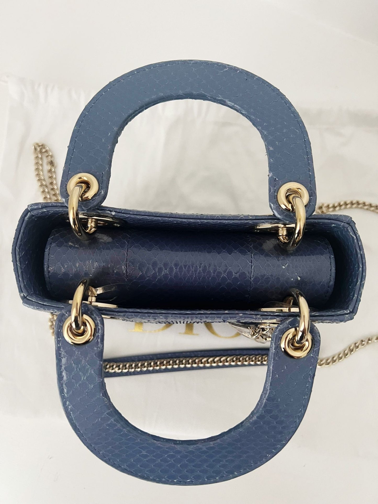 Lady Dior Mini Python blue