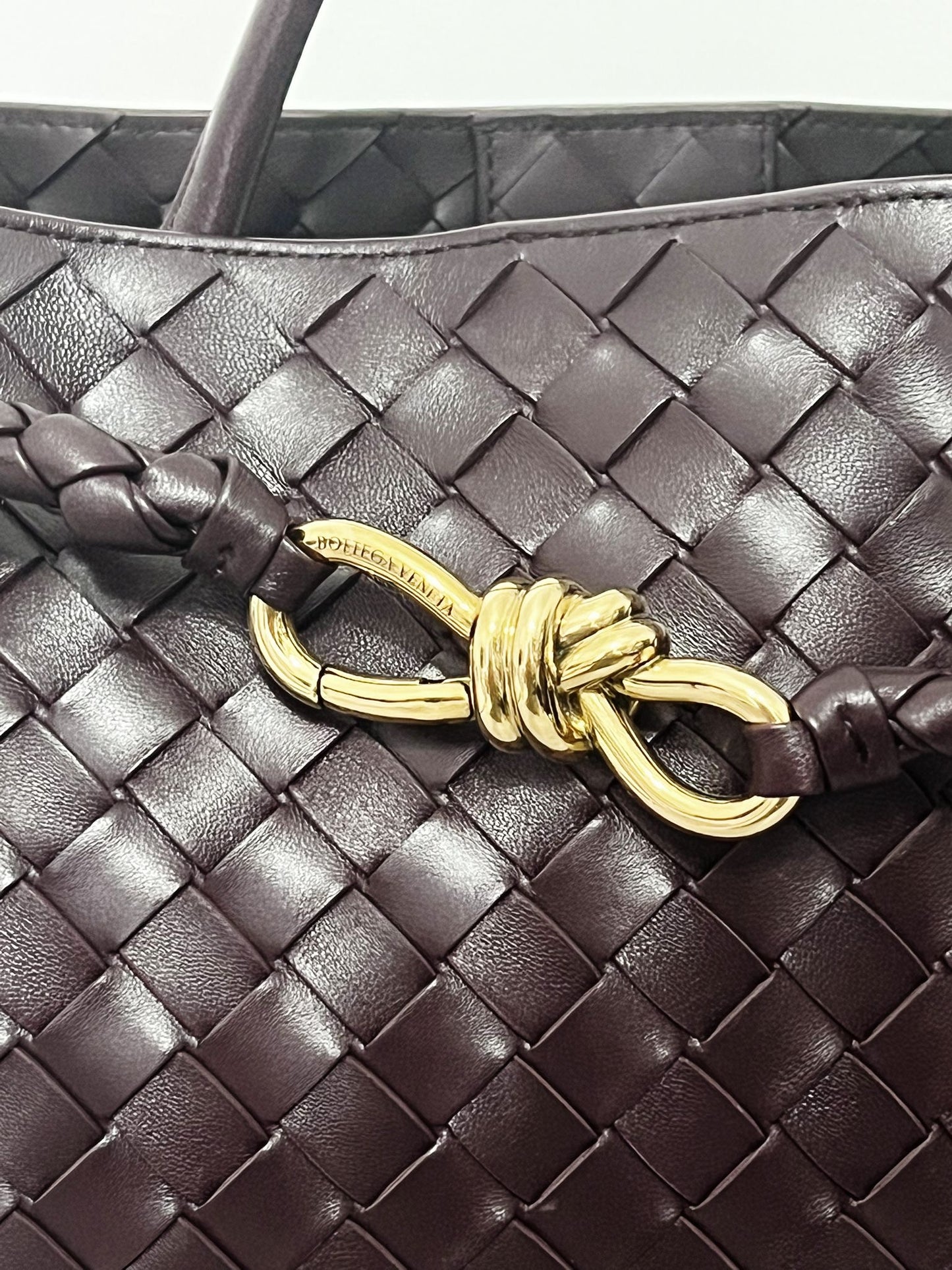 Bottega andiamo medium Dark Barolo - Partial payment