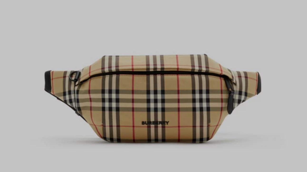 Burberry belt bag