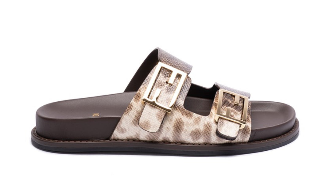 Fensi slides