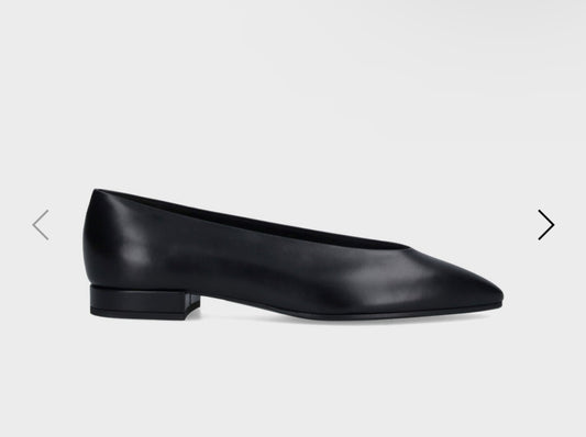Loro piana Rebecca 41
