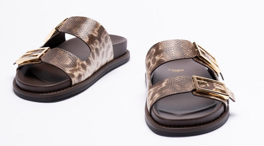 Fensi slides