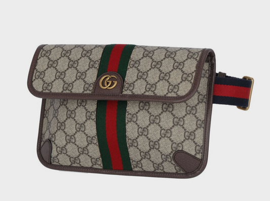 Gucci gg ophidia belt bag